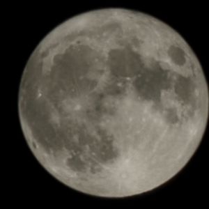 Meet your Posher, Geyssol